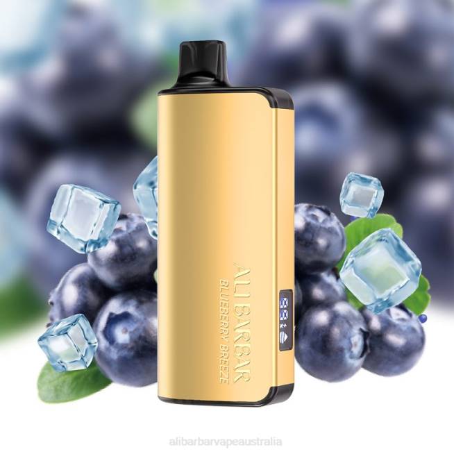 Blueberry Breeze
