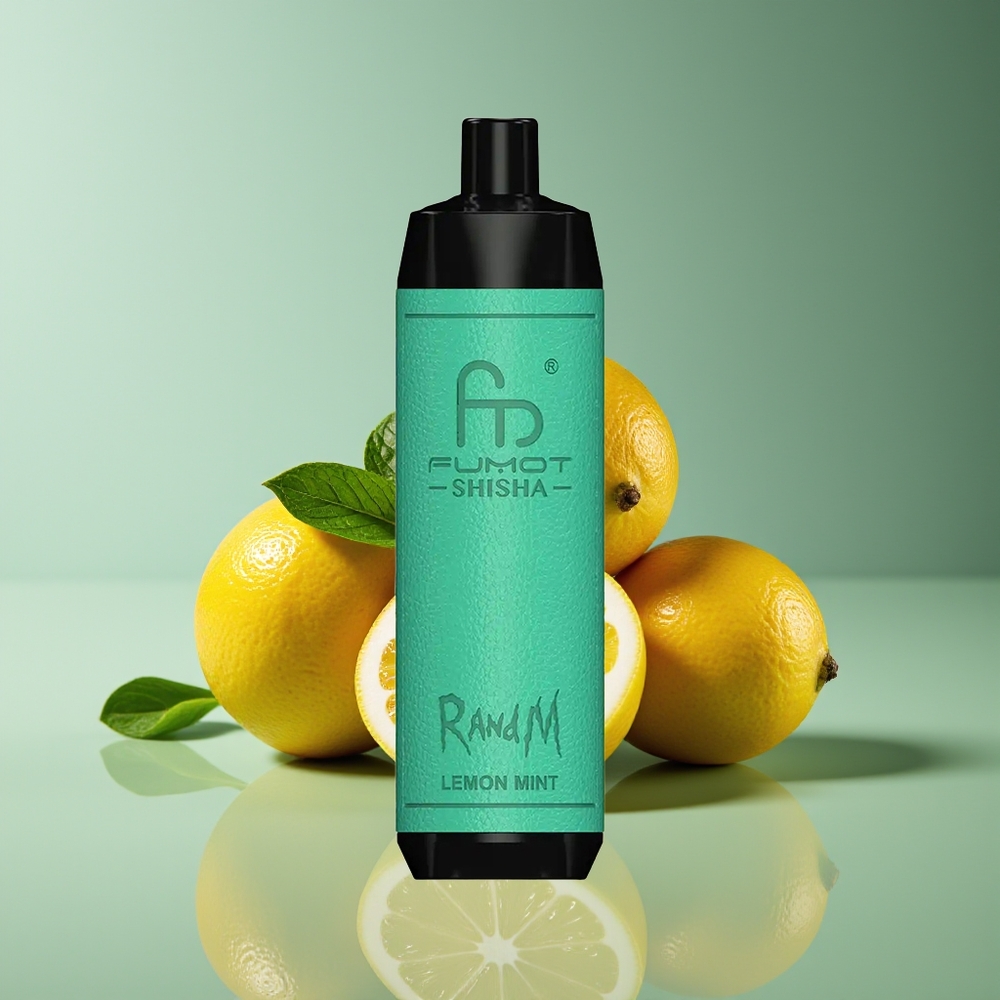 RandM Fumot Shisha 10000 Puffs 18mL 850mAh Type-C Disposable Vape Lemon Mint