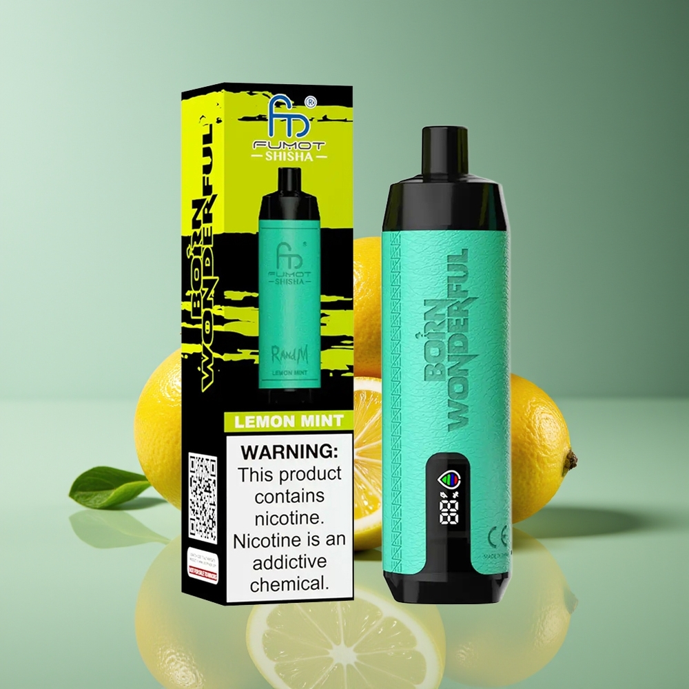 RandM Fumot Shisha 10000 Puffs 18mL 850mAh Type-C Disposable Vape Lemon Mint