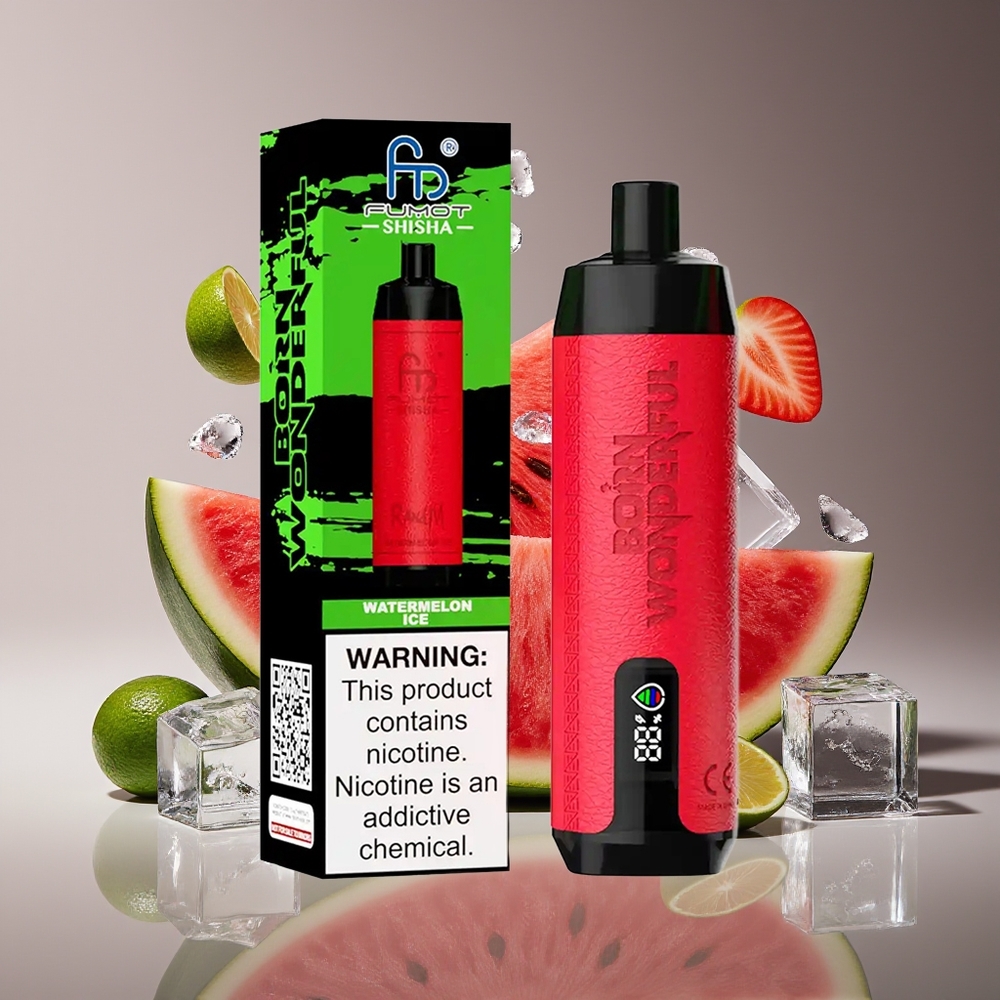 RandM Fumot Shisha 10000 Puffs 18mL 850mAh Type-C Watermelon Ice Disposable Vape