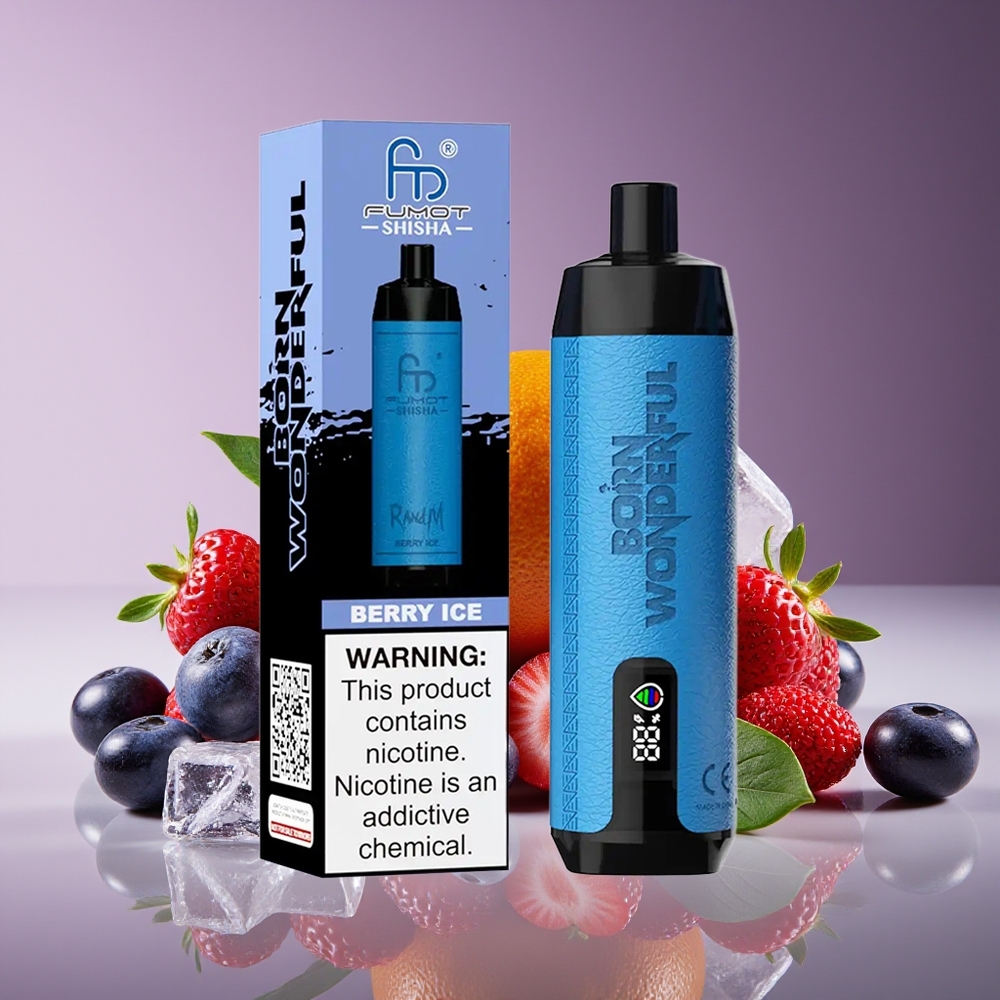 RandM Fumot Shisha 10000 Puffs 18mL Berry Ice Disposable Vape with LED  Type-C