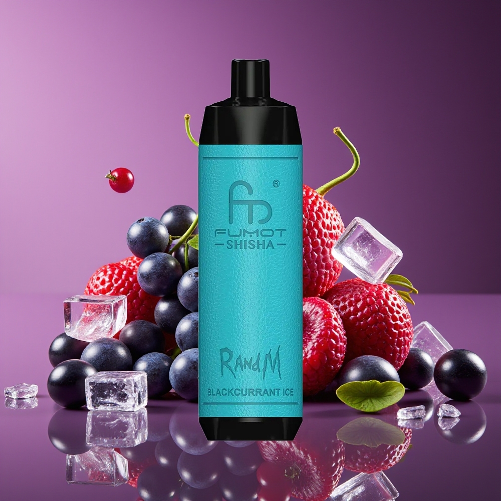 RandM Fumot Shisha 10000 Puffs 18ml 850mAh Mesh 06ohm Type-C Blackcurrant Ice Disposable Vape
