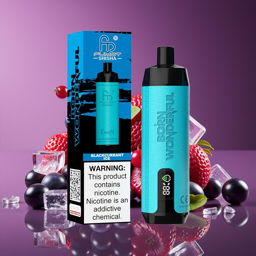 RandM Fumot Shisha 10000 Puffs 18ml 850mAh Mesh 06ohm Type-C Blackcurrant Ice Disposable Vape