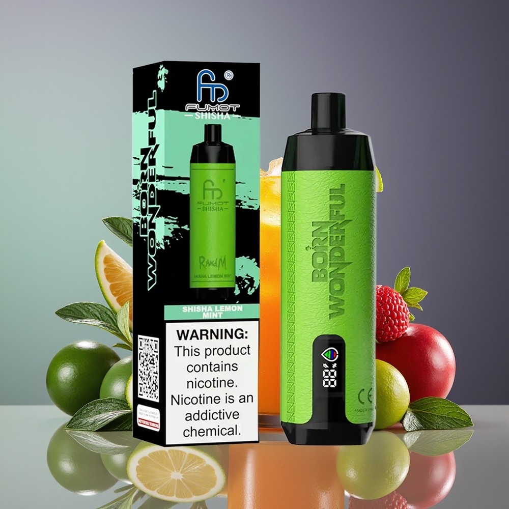 RandM Fumot Shisha 10000 Puffs Disposable Vape 18mL Type-C Lemon Mint 05 Nicotine