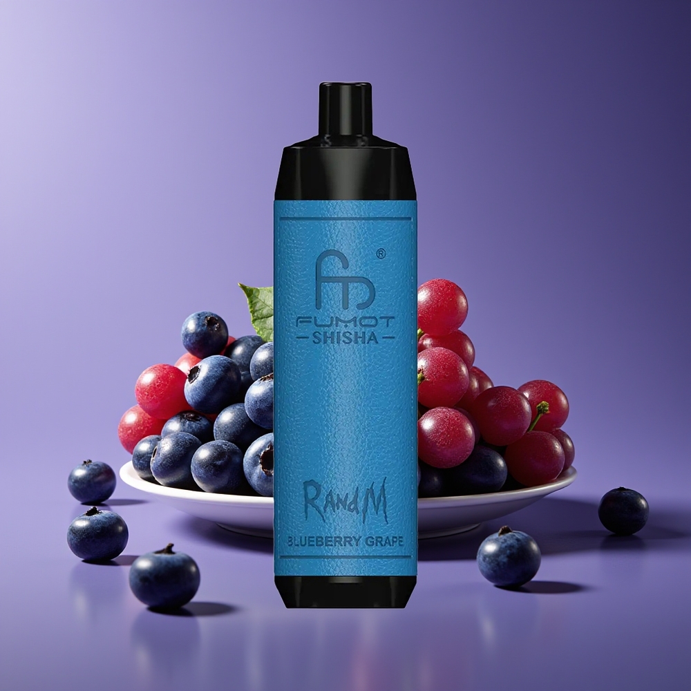 RandM Fumot Shisha 10000 Puffs LED Type-C 18mL 06ohm Mesh Disposable Vape Blueberry Grape