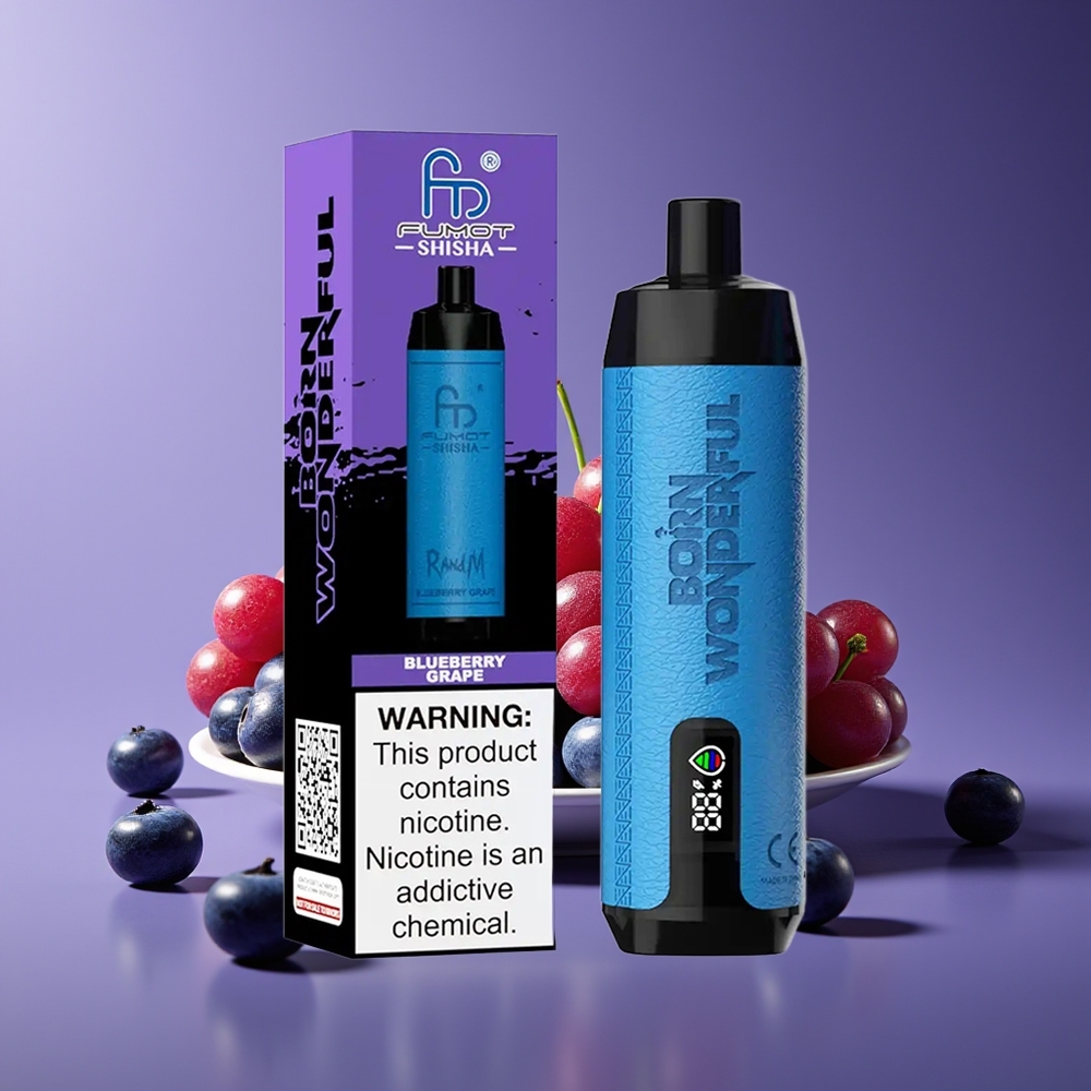 RandM Fumot Shisha 10000 Puffs LED Type-C 18mL 06ohm Mesh Disposable Vape Blueberry Grape