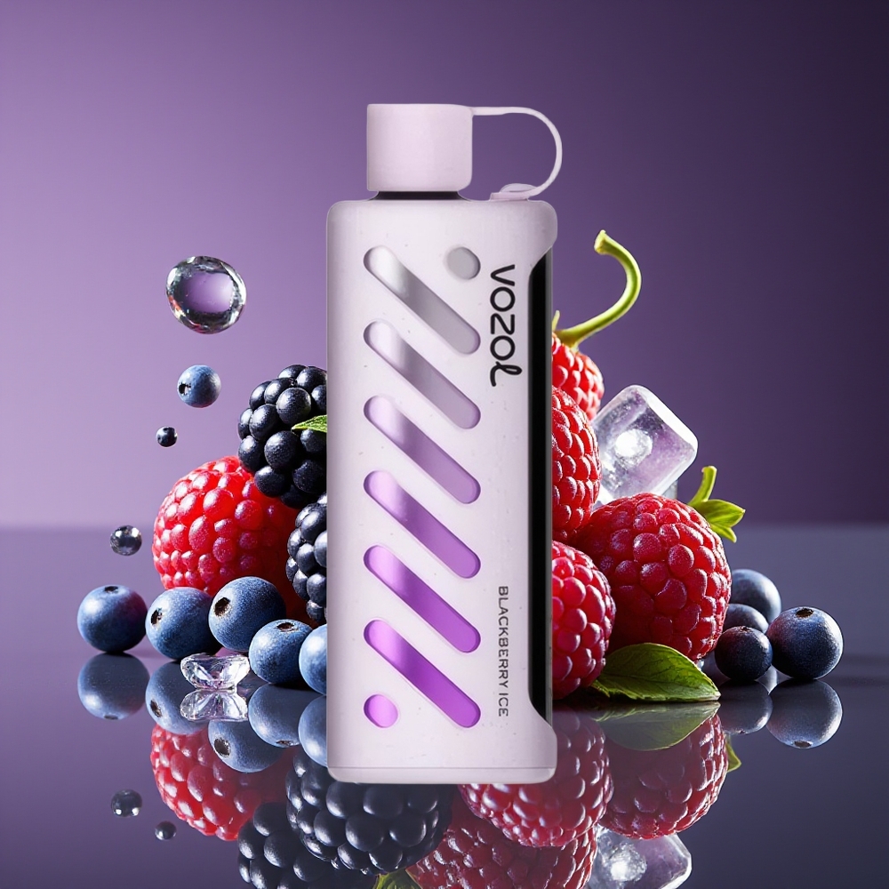 VOZOL Gear Shisha 25000 Puffs Dual Mesh 1000mAh Blackberry Ice Disposable Vape