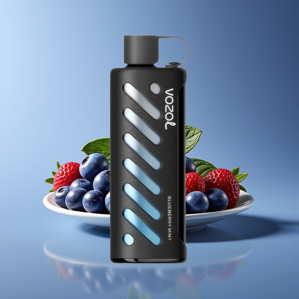 VOZOL Gear Shisha 25000 Puffs Dual Mesh 1000mAh Blueberry Mint Disposable Vape
