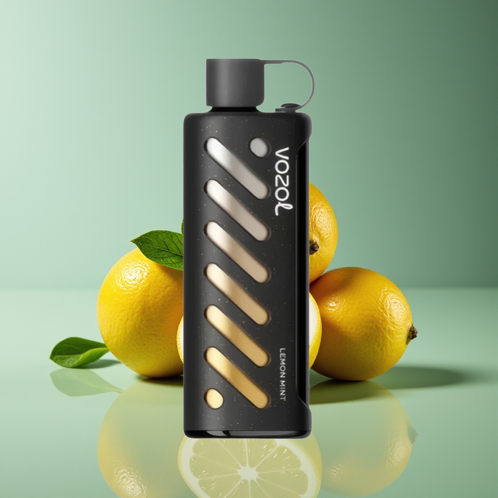 VOZOL Gear Shisha 25000 Puffs Dual Mesh Lemon Mint Disposable Vape 1000mAh 5mg
