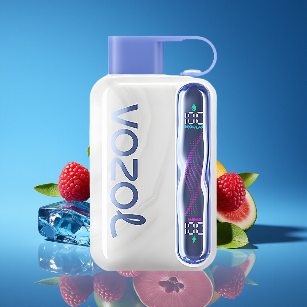 VOZOL STAR 40000 Puffs 1000mAh Type-C Disposable Vape Blue Raspberry Ice
