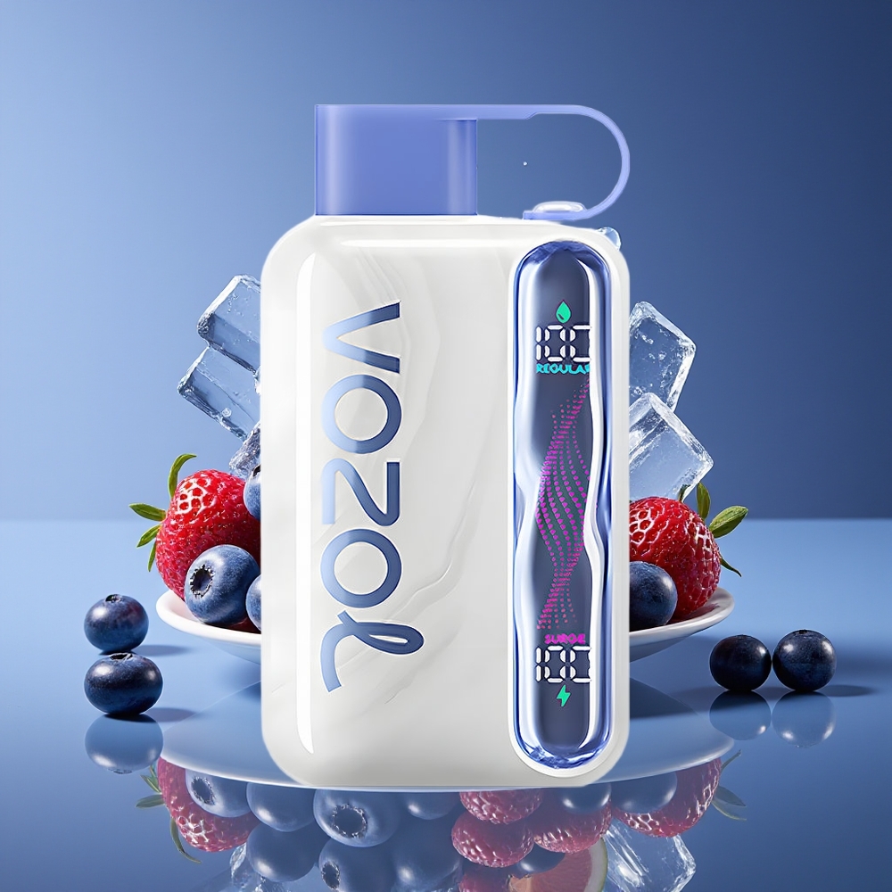 VOZOL STAR 40000 Puffs 1000mAh Type-C Disposable Vape Blueberry Ice