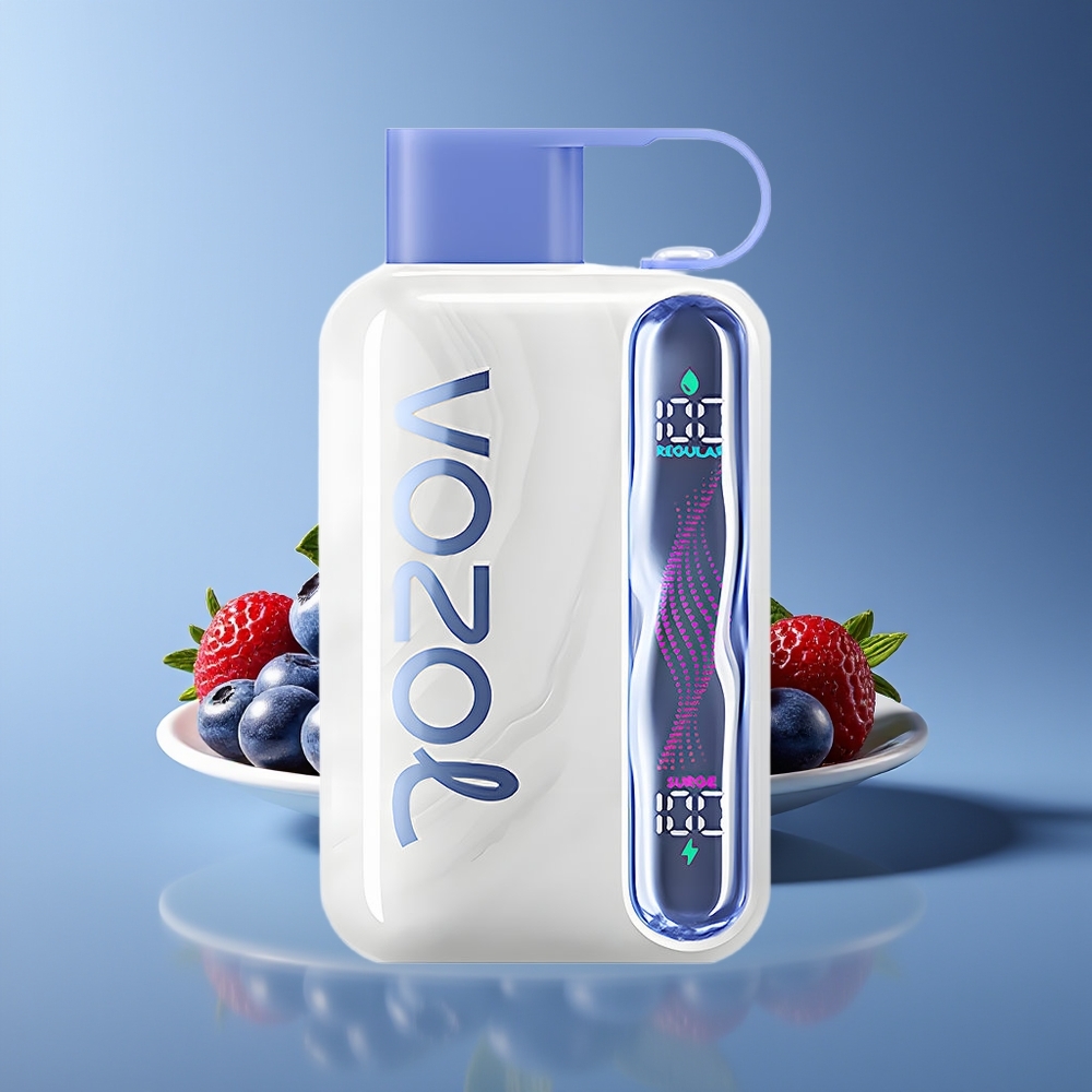 VOZOL STAR 40000 Puffs 1000mAh Type-C Disposable Vape Blueberry Mint