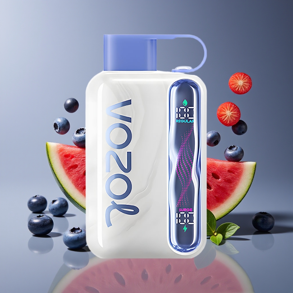 VOZOL STAR 40000 Puffs 1000mAh Type-C Disposable Vape Blueberry Watermelon