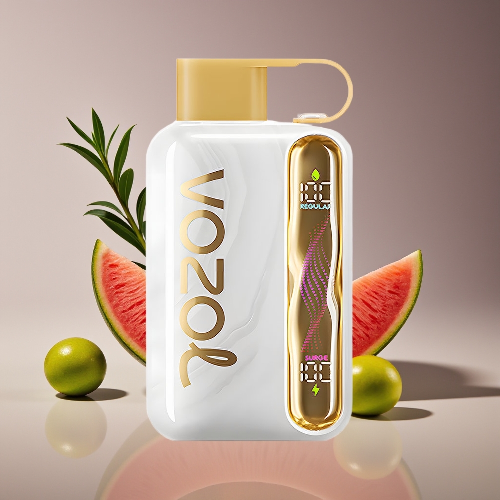 VOZOL STAR 40000 Puffs 1000mAh Type-C Disposable Vape Melon Gum 20/50mg/ml