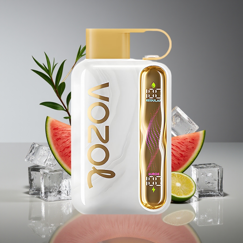 VOZOL STAR 40000 Puffs 1000mAh Type-C Disposable Vape Melon Ice 20/50mg