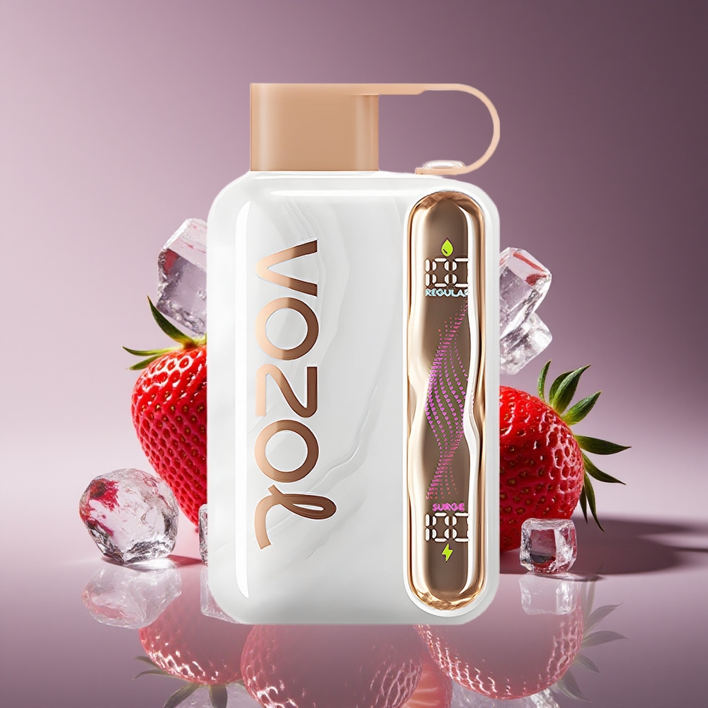 VOZOL STAR 40000 Puffs 1000mAh Type-C Disposable Vape Strawberry Ice