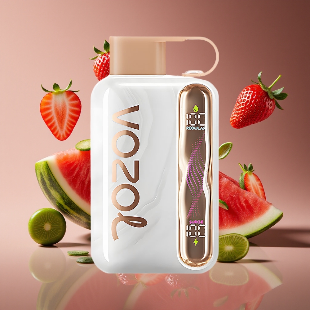 VOZOL STAR 40000 Puffs 1000mAh Type-C Disposable Vape Strawberry Watermelon