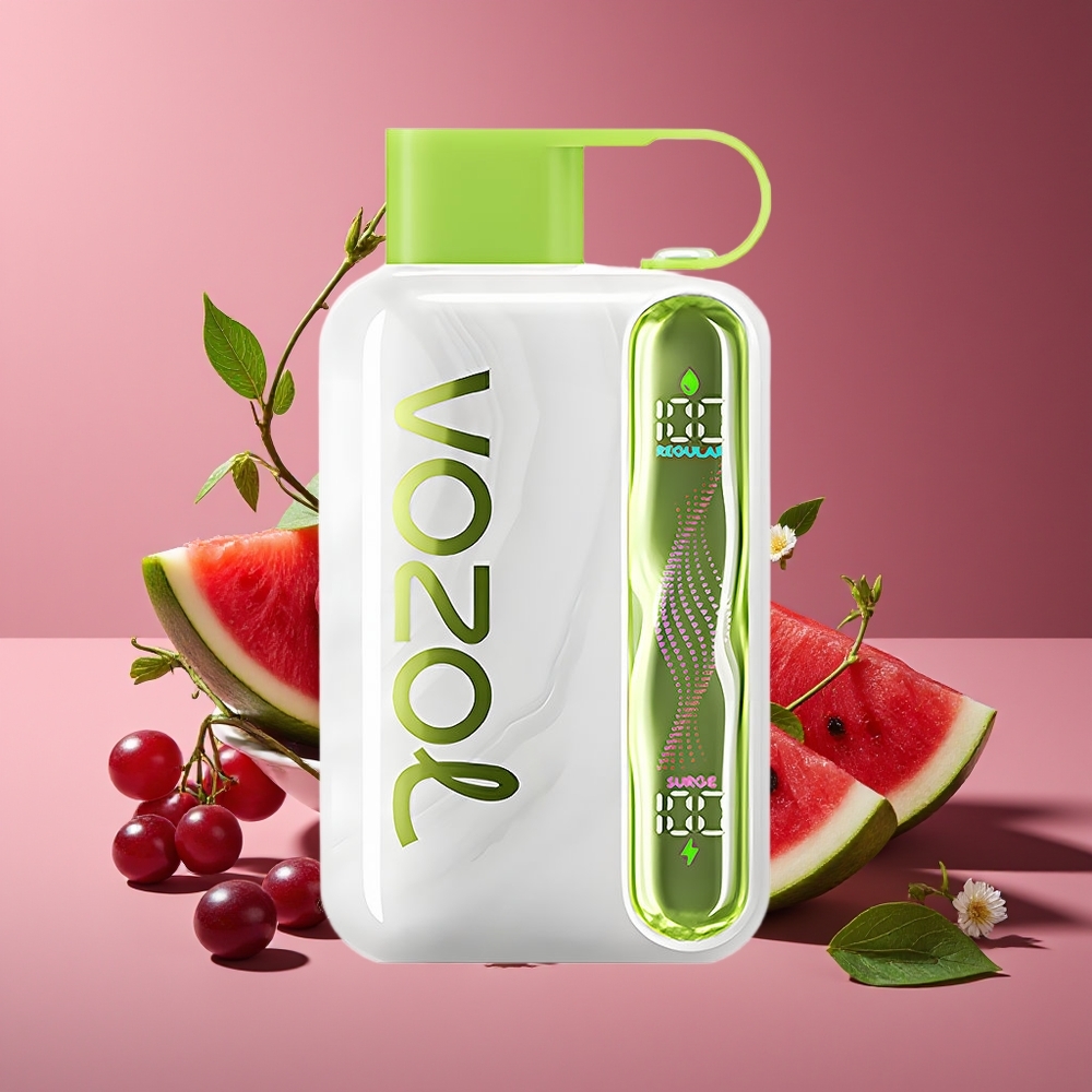 VOZOL STAR 40000 Puffs 1000mAh Type-C Disposable Vape Watermelon Grape Boysenberry