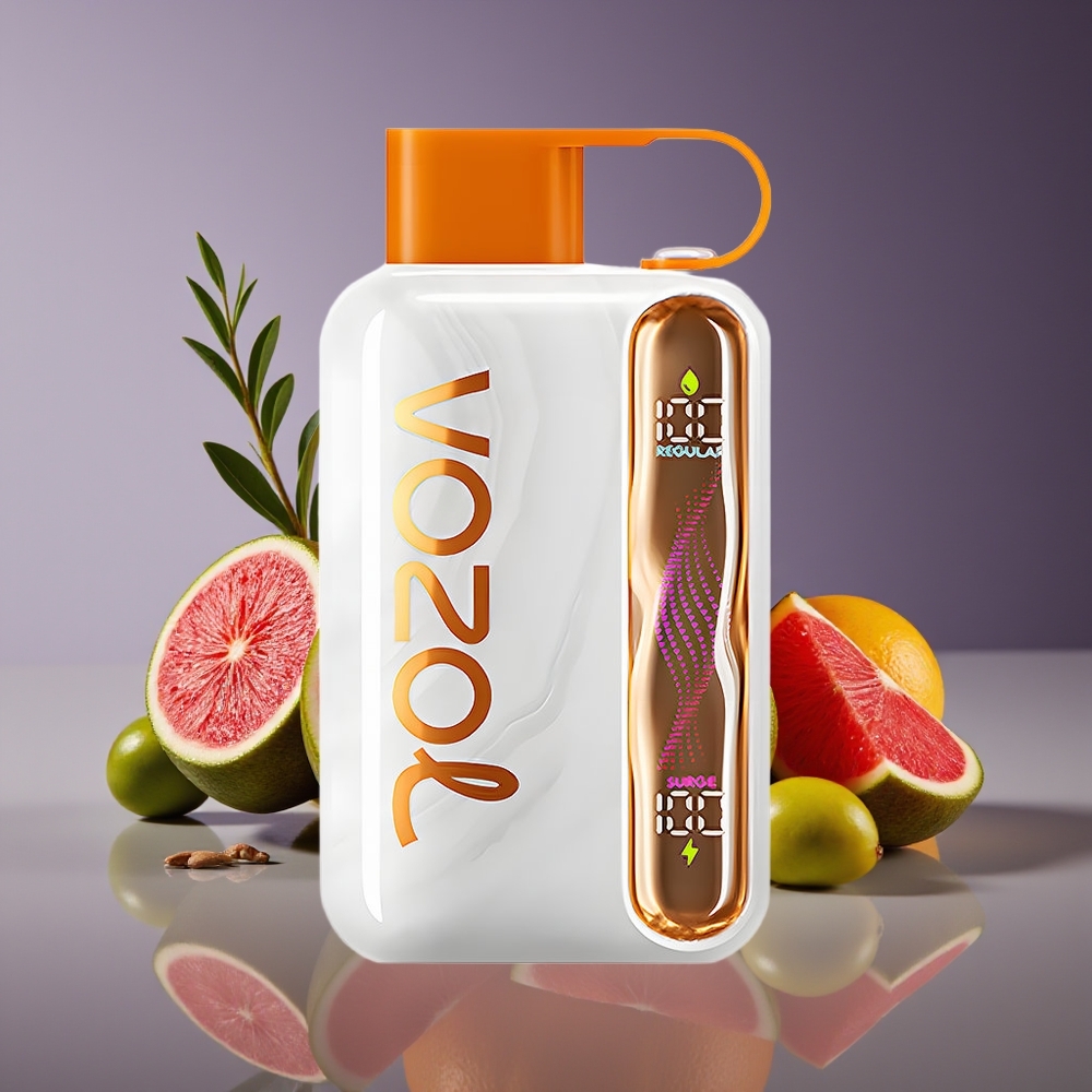 VOZOL STAR 40000 Puffs Disposable Vape 1000mAh Type-C 20/50mg/ml Vzbull