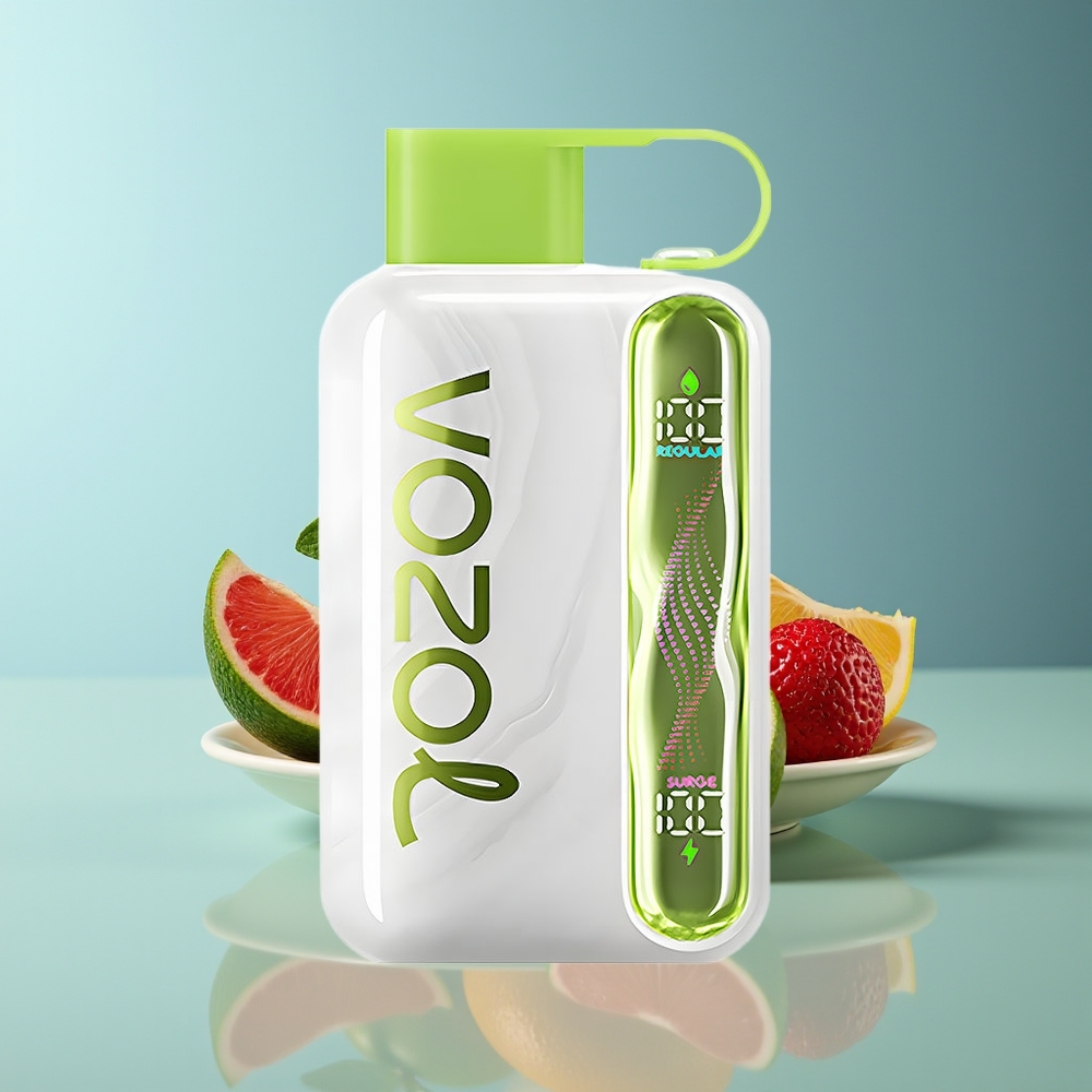 VOZOL STAR 40000 Puffs Disposable Vape Cool Mint 1000mAh Type-C 20/50mg