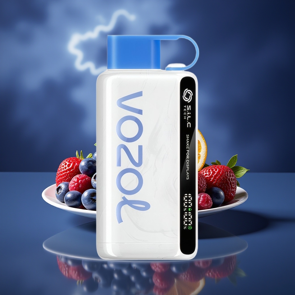 VOZOL STAR 9000/12000 Disposable Vape Blueberry Storm with SiLC TECH  650mAh Fast Charge