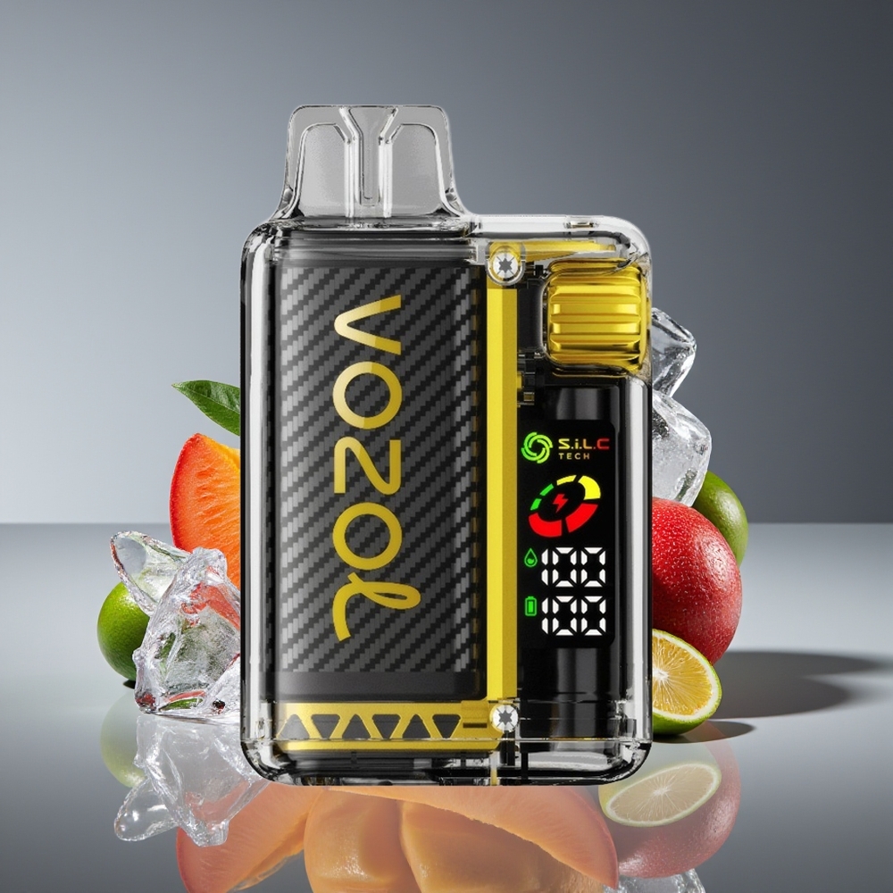 VOZOL Vista 20000 Puffs Mango Ice Rechargeable Disposable Vape with OLED  Dual Mesh Coil