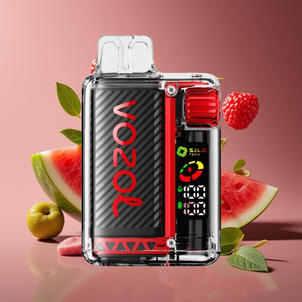 VOZOL Vista 20000 Puffs Rechargeable MTL Disposable Vape Raspberry Watermelon with OLED  Dual Mesh Coil