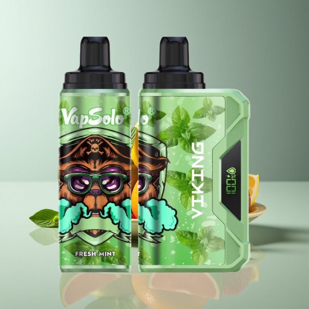 VapSolo VIKING 12000 Puffs 22ml Type-C LED Fresh Mint Disposable Vape